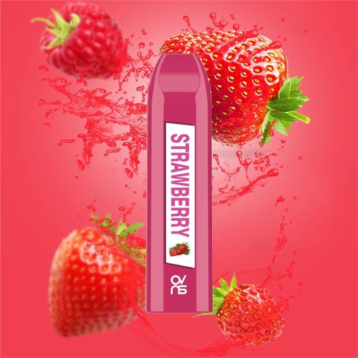 Disposable Vapor Pen E Juice 5% Nicotine Salt 500 Puff Electronic Cigarette Disposable Vapor Pen E Juice 5% Nicotine Salt 500 Puff Electronic Cigarette