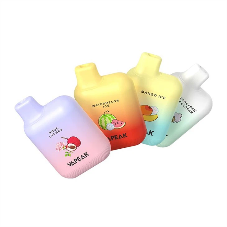 5000/6000 Puffs Vape Disposable USA Market