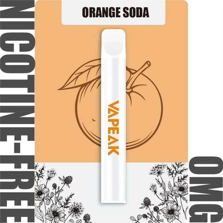 600 Puffs Non Nicotine Disposable Vape Pen