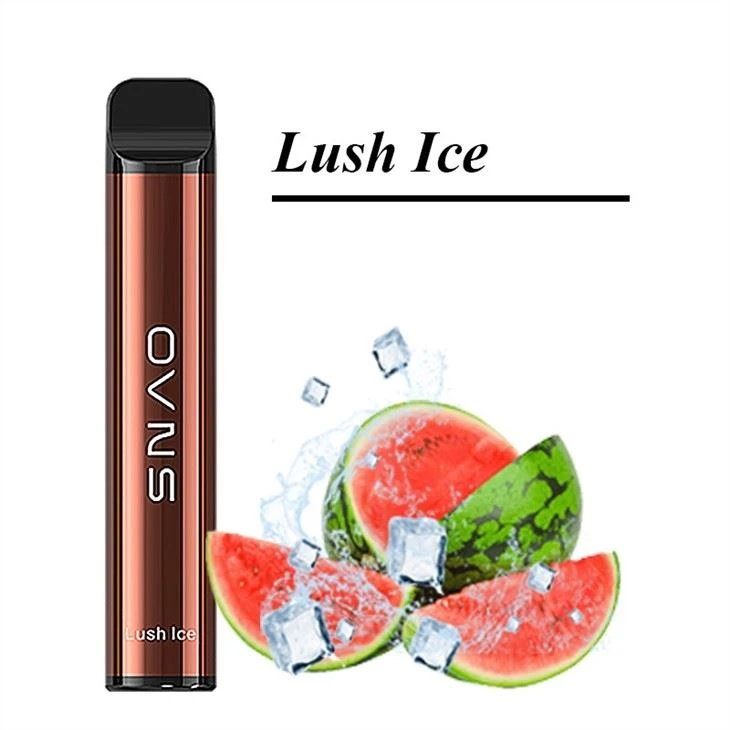 OVNS XL Vape