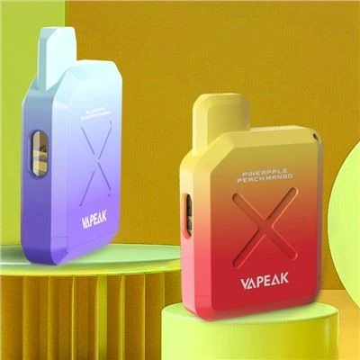 600 Puffs Vape Pen