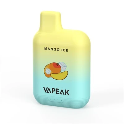 Vienkartiniai Vape pradžios rinkiniai