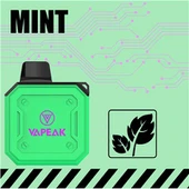 800 Puffs MESH COIL TPD Vape