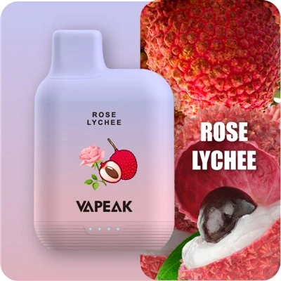 5000 išpūtimų 15 ml E-Liquid Vape Pod